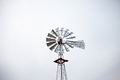 [Windmill against sky] - Powell Gardens, Kansas City, Dempster